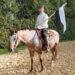 Mit Lanze in hist. Trainingsuniform auf Pferd sitzend